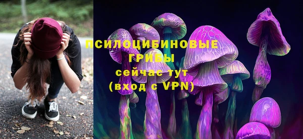 прущий лед Балахна