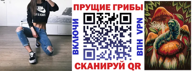 Галлюциногенные грибы Psilocybine cubensis  Пересвет 